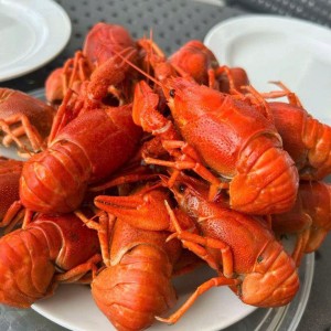 Hiện Em Đang Muốn Kiếm Chị Giỏi Nội Trợ