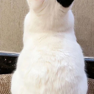 Tuyển gấp chị chuyên chăm em bé nhận ở lại tại quận 2