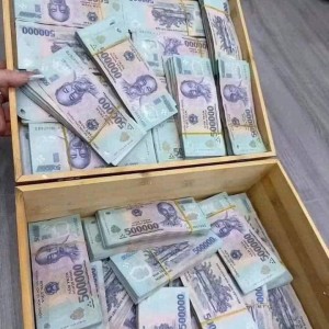 Hôm Nay Em Đang Có Chủ Nhà Cần Chị Giỏi Nội Trợ