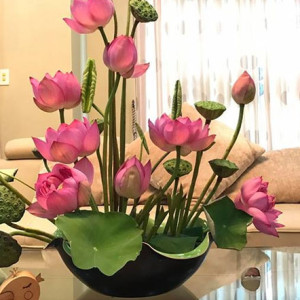 Ông Năm Nay Ngoài 80 Tuổi Không Thể Đi Lại