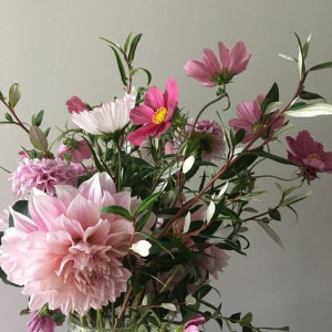 Em cần tuyển gấp 1 chị bảo mẫu chăm bé 6 tháng tuổi bao ăn ở