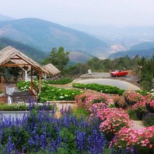 Cần tuyển chị giúp việc nhà tại đà lạt