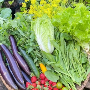 🏠 TUYỂN CÔ GIÚP VIỆC Ở LẠI NHÀ 2 LẦU