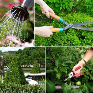 Tuyển Chú Chăm Sóc Cây Cảnh Q7