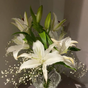 Tuyển gấp chị chuyên chăm em bé nhận ở lại tại quận 2