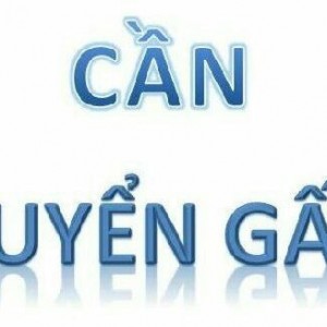 Cần tuyển chị chăm em bé 1 tháng tuổi tại thủ dầu một bình dương.