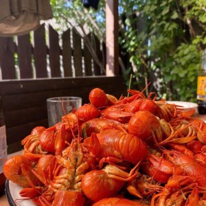 Gia Đình Em Đang Muốn Tìm Chị Giúp Việc Nhà Tốt