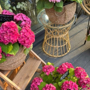 Cần tuyển 1 chị phụ quán cơm tại Quận 3 bao ăn ở lại