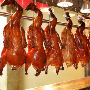 Công việc ăn ở lại tại quận 11