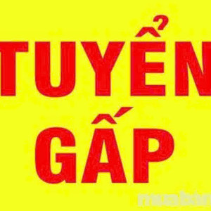 TUYỂN  CÔ GIÚP VIỆC NHẬN VIỆC ĐI LÀM NGAY