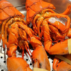 Tuyển chị giúp việc.  Nhà ở gần ngay Chùa Việt Nam Quốc Tự, quận 10.