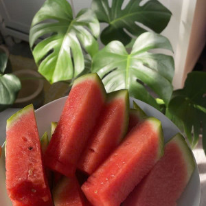 Vợ Chồng Em Đang Cần Chị Chuyên Nấu Ăn Ngon