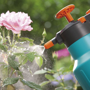 Cần 1 cô thời vụ tết làm tại Đồng Nai