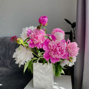 Nhà mặt phố tại quận 11 cần 1 chị giúp việc bao ăn ở