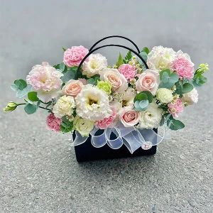 Tuyển Chị Giúp Việc Làm Ở Quận 2, Thảo Điền