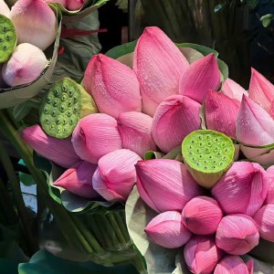 💠 CẦN TUYỂN GẤP CHỊ GIÚP VIỆC NHÀ Ở QUẬN 5 💠