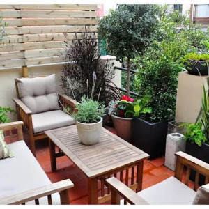 Sáng Nay Cần Liền Một Chị Đến Làm Việc Nội Trợ Gia Đình