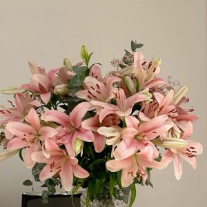 📢 TUYỂN CÔ GIÚP VIỆC NHÀ Ở DĨ AN, BÌNH DƯƠNG