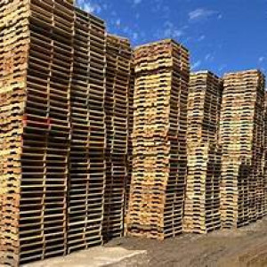 Hiện tại em cần thêm lao động phổ thông nam, nữ đóng khuôn gỗ Pallet