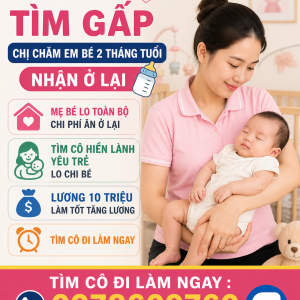 Em cần tìm gấp chị chăm em bé 2 tháng tuổi nhận ở lại : 0978609760 ( có zalo)