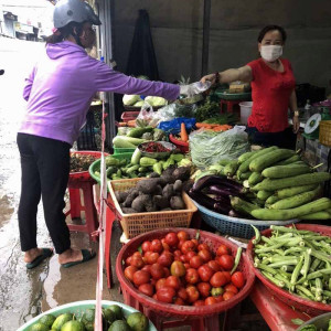 Gia đình nhà cô chú đang cần chị đến nội trợ lương 9 triệu