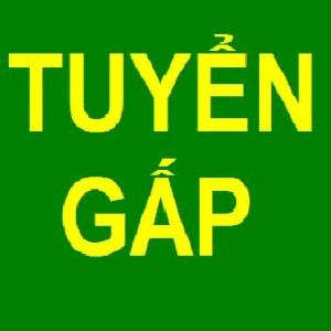 TUYỂN GẤP CHỊ GIÚP VIỆC ĐI VỀ BÌNH DƯƠNG