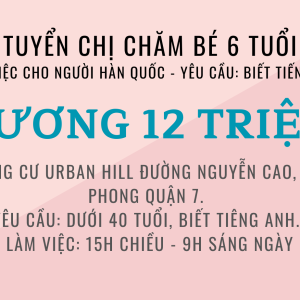 Tuyển Chị Bảo Mẫu Làm Từ 15h Chiều -9h Sáng Hôm Sau, Lương 12 Triệu, Ở Quận 7