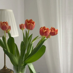 [Đi về] Cần tuyển chị bảo mẫu cho bé 2 tháng tuổi lương 11 triệu