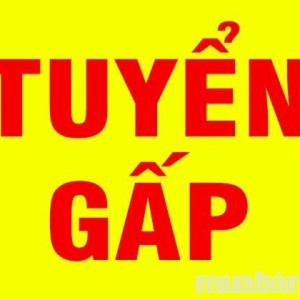 TUYỂN GẤP ĐI LÀM NGAY CÔ LIÊN HỆ CON NHÉ : 0978609760