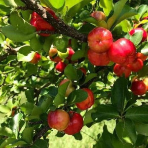 Em cần tuyển gấp 1 Anh Làm việc tại Nhà Bè lương 9 triệu