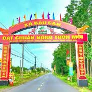 Công việc ăn ở lại tại Đồng nai