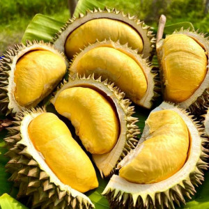 Em cần gấp 1 NAM bốc xếp hàng hóa rau củ quả lương 12 triệu