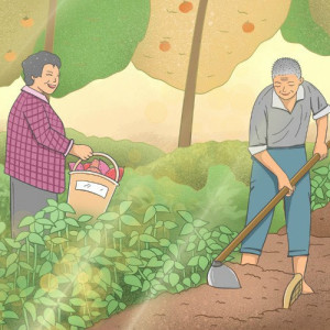 Tuyển Vợ Chồng Về Làm Vườn Tại Bình Thuận ( Có Nhà Riêng Để Ở Tự Nấu Ăn )