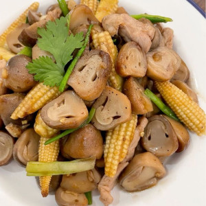 Cần cô giúp việc nhà chung cư Quận 4 nghỉ T7 CN