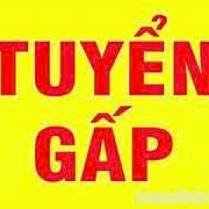 gấp gấp tìm cô giúp việc đi làm ngay