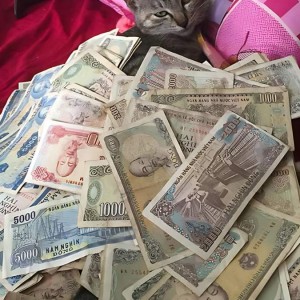 Công việc đi về Tân Phú