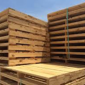 Hiện tại cần tuyển gấp lao động phổ thông nam, nữ đóng khuôn gỗ Pallet