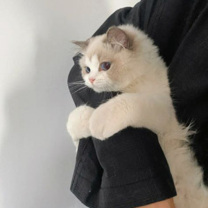 Cần Gấp cô giúp việc chăm bé 2 tháng đi về tại Bình Tân