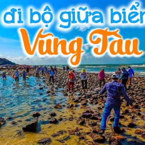 Công việc đi - về tại thành phố Vũng Tàu