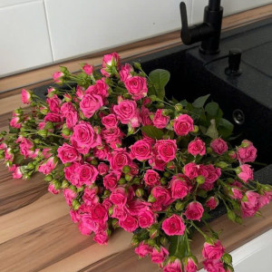 Cần Cô Chăm Bà Nằm Một Chỗ Ở Quận Gò Vấp