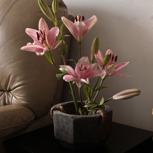 tìm chị giúp việc nhà