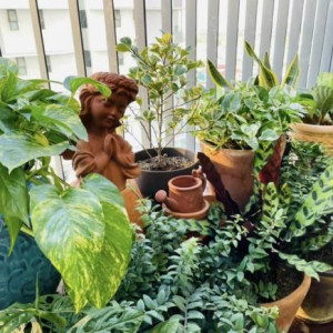 Gia Đình Tìm Chị Chuyên Giúp Việc Nhà