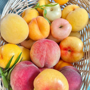 CẦN CÔ GIÚP VIỆC Ở LẠI – LƯƠNG 10 TRIỆU