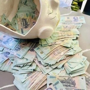 Hôm Nay Em Cần Gấp Chị Đến Giúp Việc Nhà