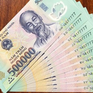 Em độc thân thường xuyên đi công tác cần cô về trông coi và lau dọn nhà cửa.