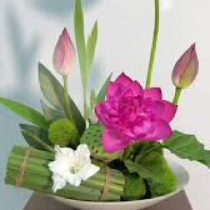 Gấp Gấp Gấp Tuyển Dụng Gấp Chị Nấu Ăn Ăn Ở Lại Cho Chị Sếp Người Hoa