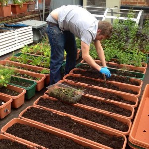 🌿 CẦN TUYỂN 1 CHÚ LÀM VƯỜN Ở LẠI CÔNG TY 🌿