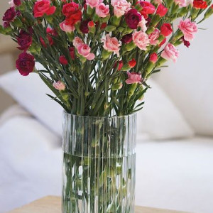 Tìm gấp 1 chị giúp việc nhà tại khu đô thị Vạn Phúc bao ăn ở lại