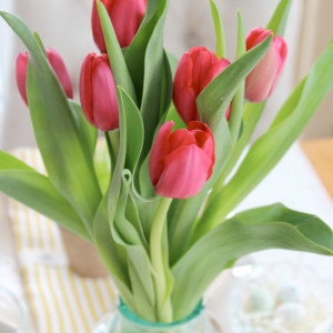 Cần chị phụ quán cơm tại Tân Bình bao ăn ở ạ