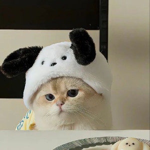 Cần cô chăm bé 4 tháng tuổi làm tại Quận 2 lương 11 triệu